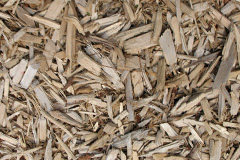 biomass boilers Pellon