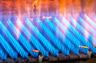 Pellon gas fired boilers